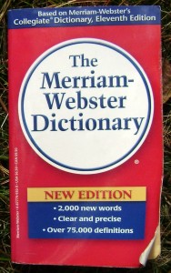 Dictionary Picture