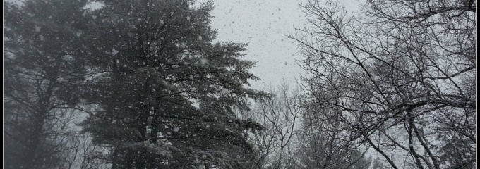 Snow-Scene
